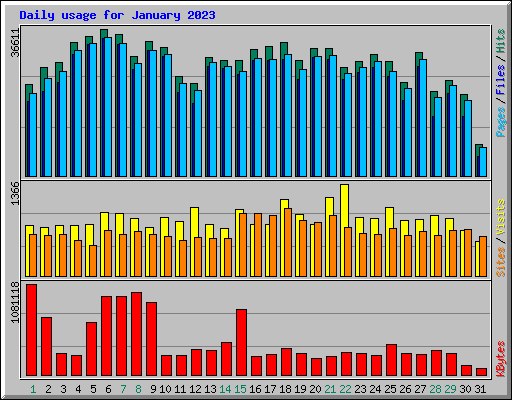 Daily usage for January 2023
