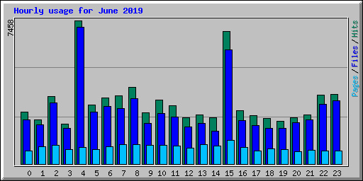 Hourly usage for June 2019