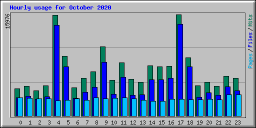 Hourly usage for October 2020