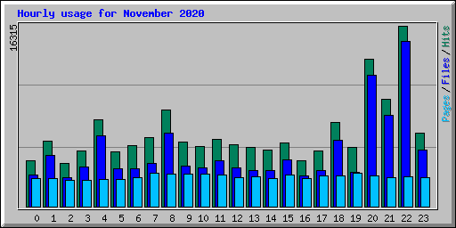 Hourly usage for November 2020