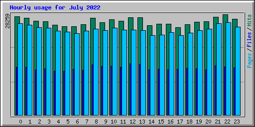 Hourly usage for July 2022