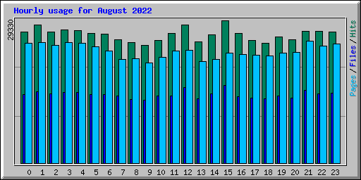 Hourly usage for August 2022