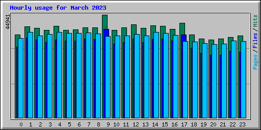 Hourly usage for March 2023
