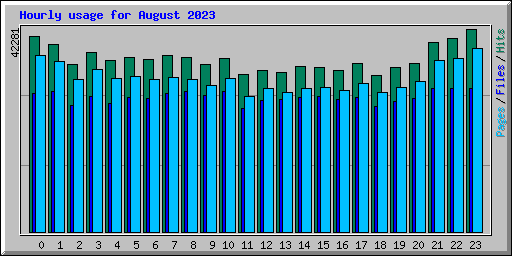 Hourly usage for August 2023